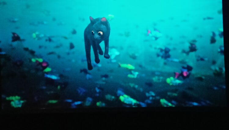 Kediydi Kedi- “Flow” Üstüne