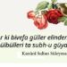 Gül ve Bülbül Aşkı