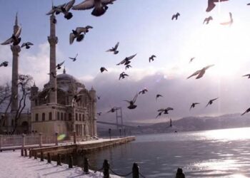 Adil Dünya Adil Ülke…