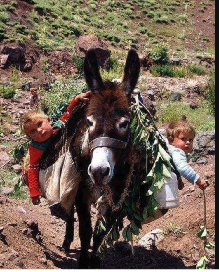 Sevgiler Denk Değilse