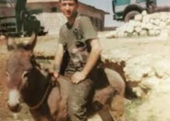 Bekir Çavuşun Katırı