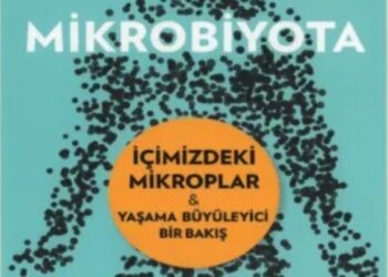 Tozda Saklanan Mikrop