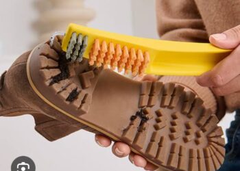 Ayakkabı Fırçası