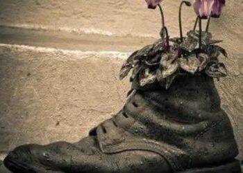 Pabuç Dama Atıldın