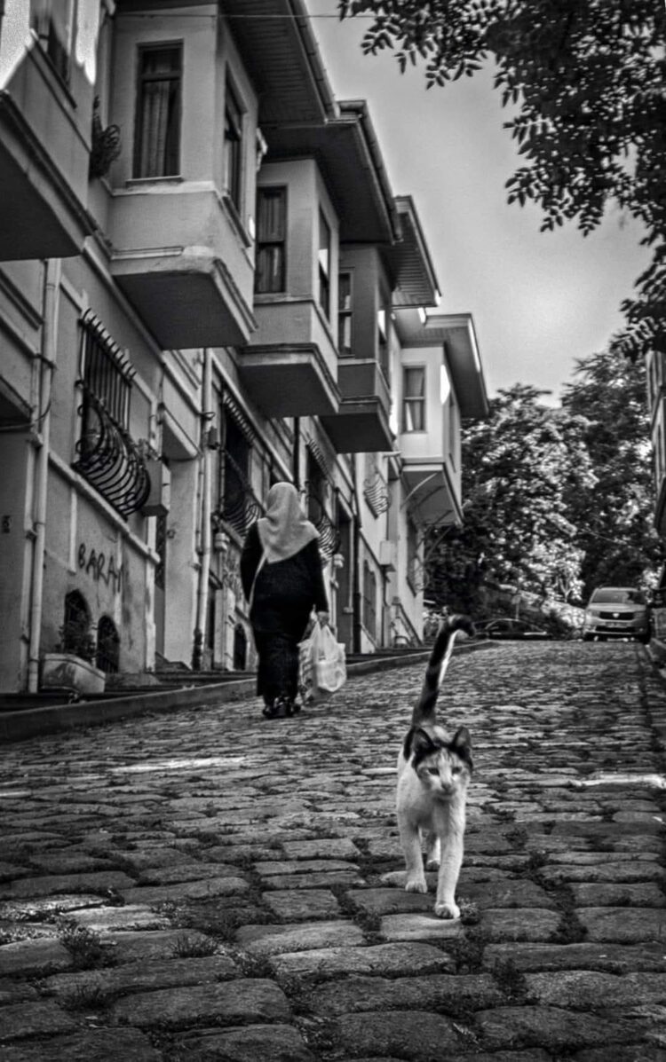 Kıssadan Hisseler (I)