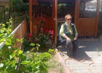 Gündemin Gör Dediği