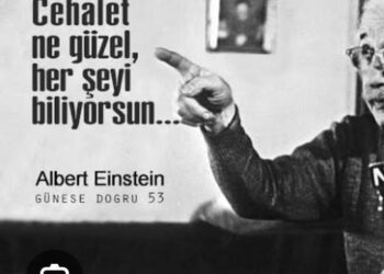 Cehalet Her Şeydir!