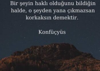 Haksız Azınlık ve Yönetilemeyen Sessizlik