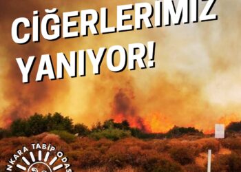 Ciğerlerimiz Yanıyor