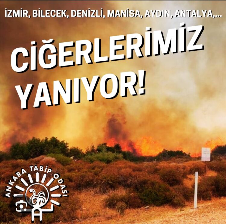 Ciğerlerimiz Yanıyor