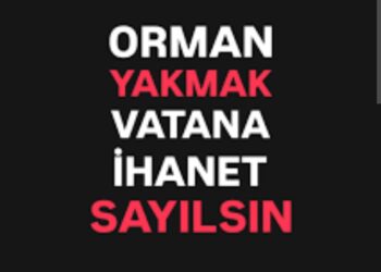 Ormanlarımızı Bilerek Yakan Vatan Hainidir!