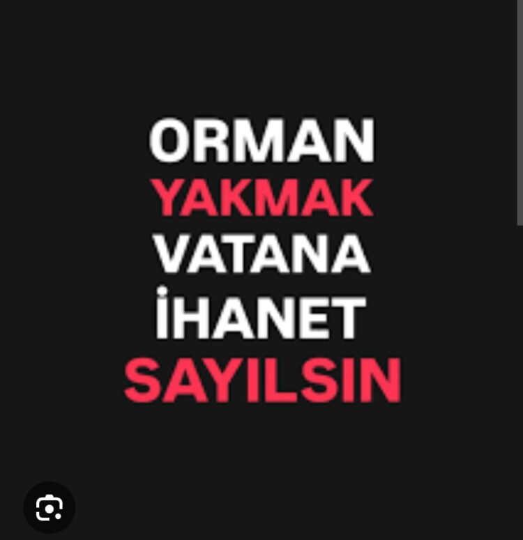 Ormanlarımızı Bilerek Yakan Vatan Hainidir!