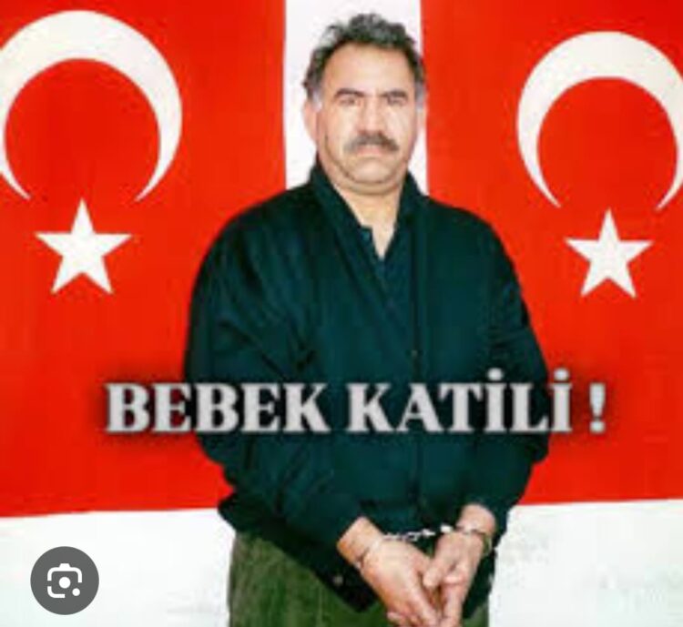 Bebek Katili Apo