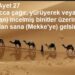 Hacca Deve ile mi Gidilmeli…