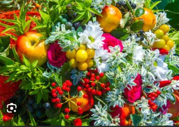 Bir Çiçek Bir Meyve