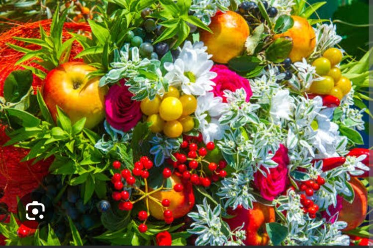 Bir Çiçek Bir Meyve