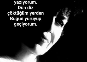 Boynu Bükük Heceler