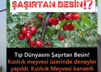 Kızılcık Mucizesi