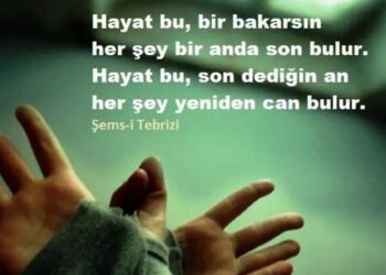 Hayat Yeniden Can Bulur