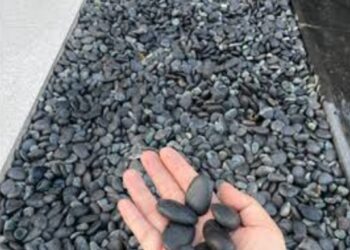 Patikanın Taşları