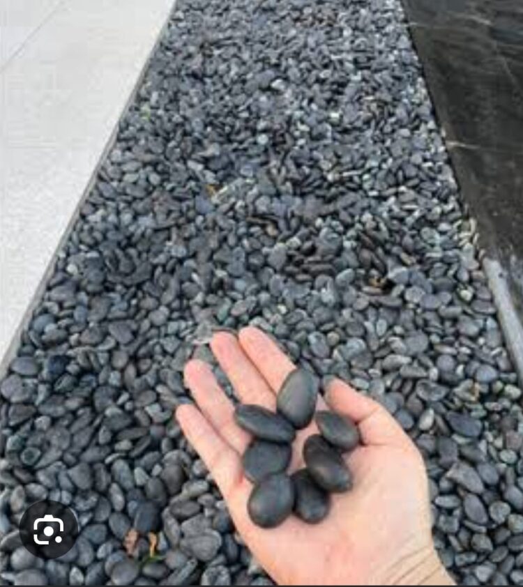 Patikanın Taşları