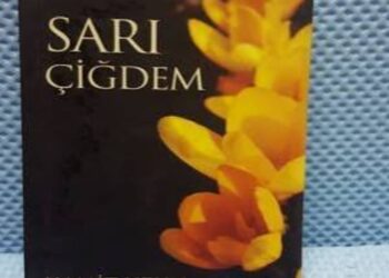 Yazar Hamit Uzun’un  Kaleminden 