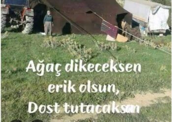 Yörükler İnsanın Hası