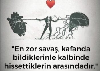 Şiir Okumak & Türkü Dinlemek