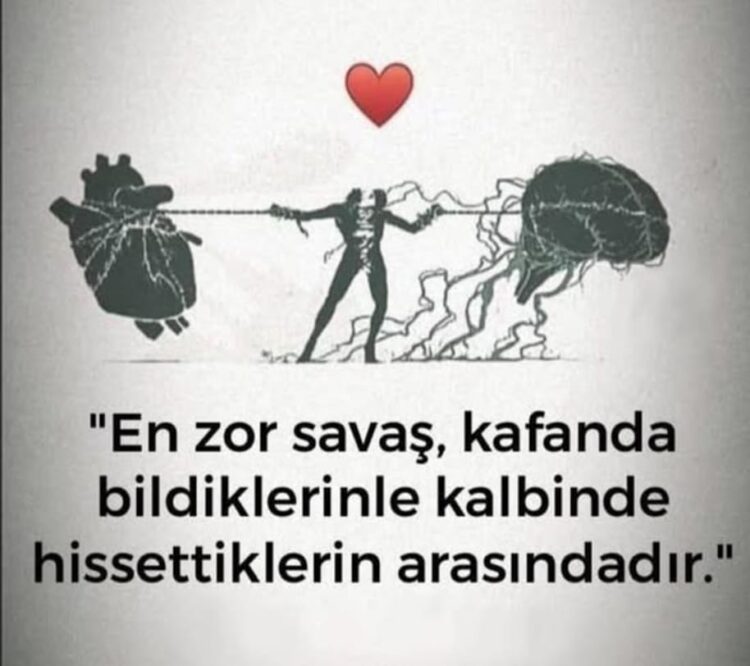 Şiir Okumak & Türkü Dinlemek