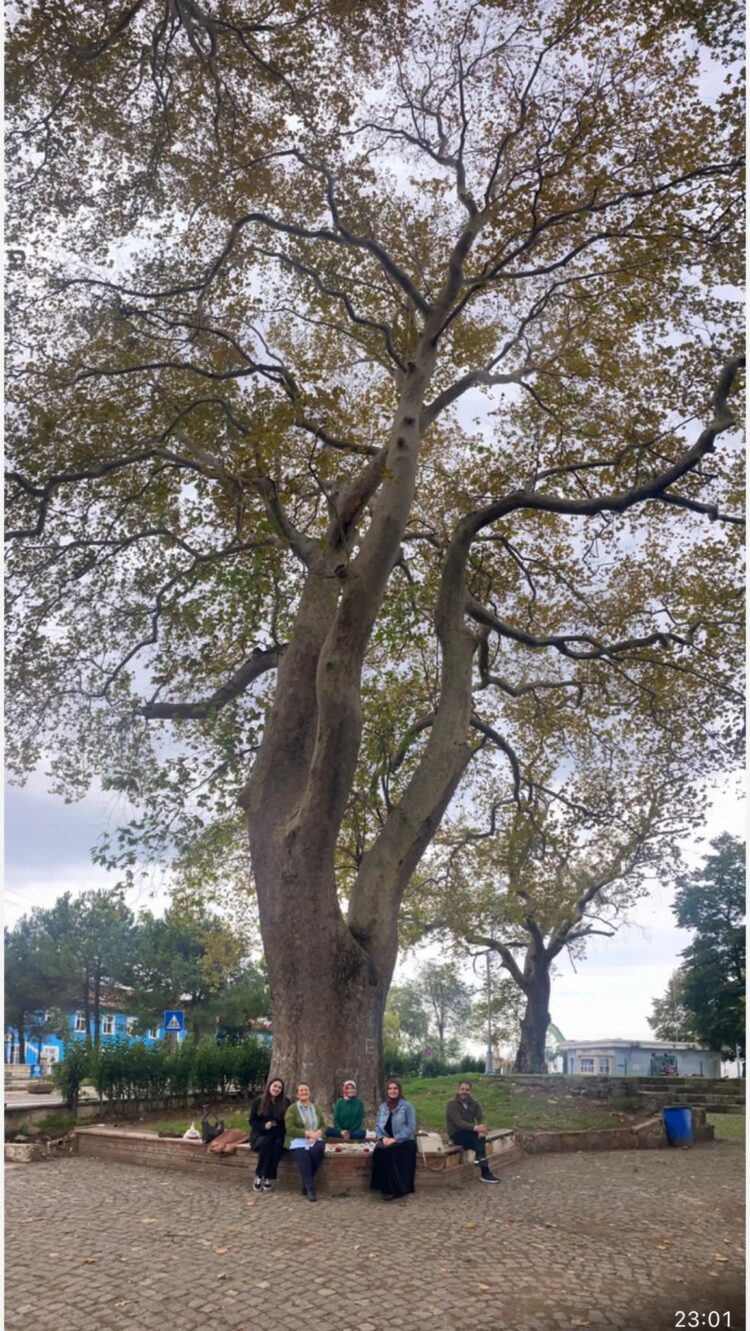 Kadim Çınarların Altında Mütevazi Bir Sonbahar Kahvaltısı