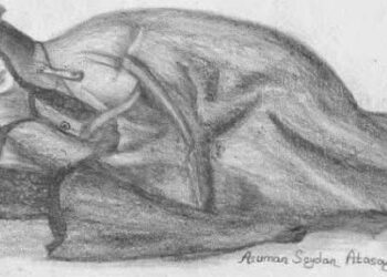 Her Kasımda Hallerim