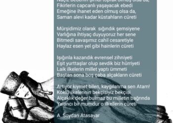 Fikirlerin Capcanlı