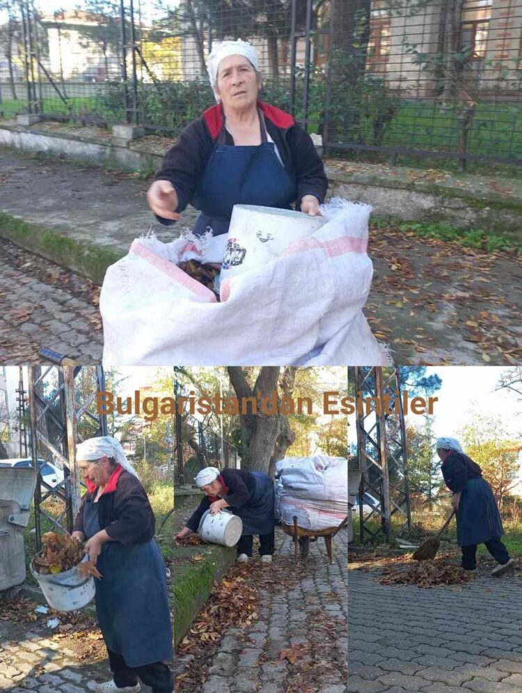 Bu Topraklar Bizim, Başka Vatan Yok!