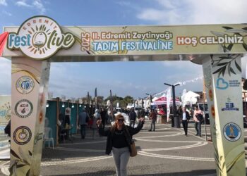 Zeytin.. Gölgesinde Barış, Damlasında Şifa, Yudumunda Lezzet Dolu Festival Günlerim