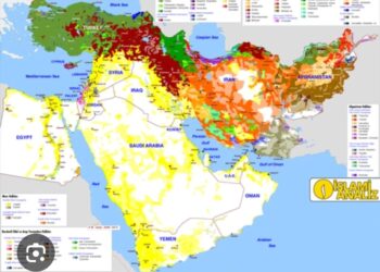 Türkiye’nin Konumu: Etnik Temelli Federal Modellerle Karşılaştırmalı Analiz