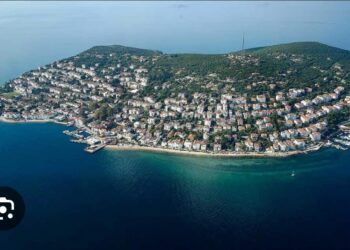 Bir Adanın Hikâyesi