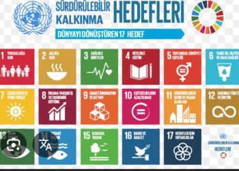 Sürdürülebilir Kalkınma İçin Ulusal Stratejik Çerçeve