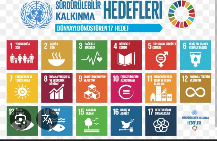 Sürdürülebilir Kalkınma İçin Ulusal Stratejik Çerçeve