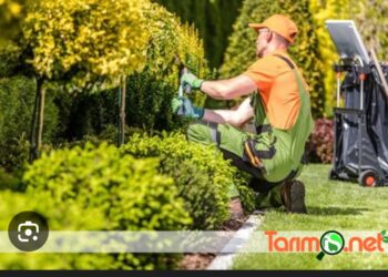 Bahçıvanın Forması