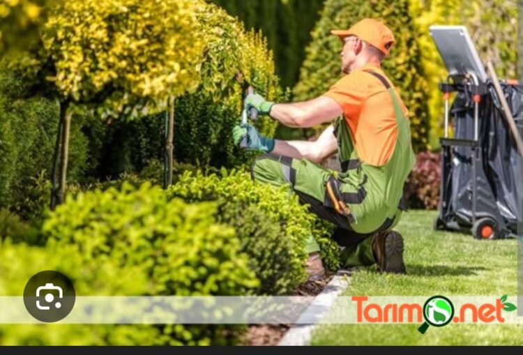 Bahçıvanın Forması