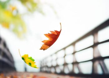 Yörüklerin Harika Öğütleri