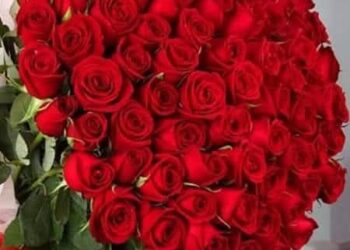 Sevgilerim Büyüdükçe