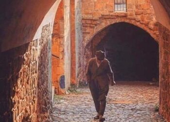 Telaşa Hiç Mahâl Yok