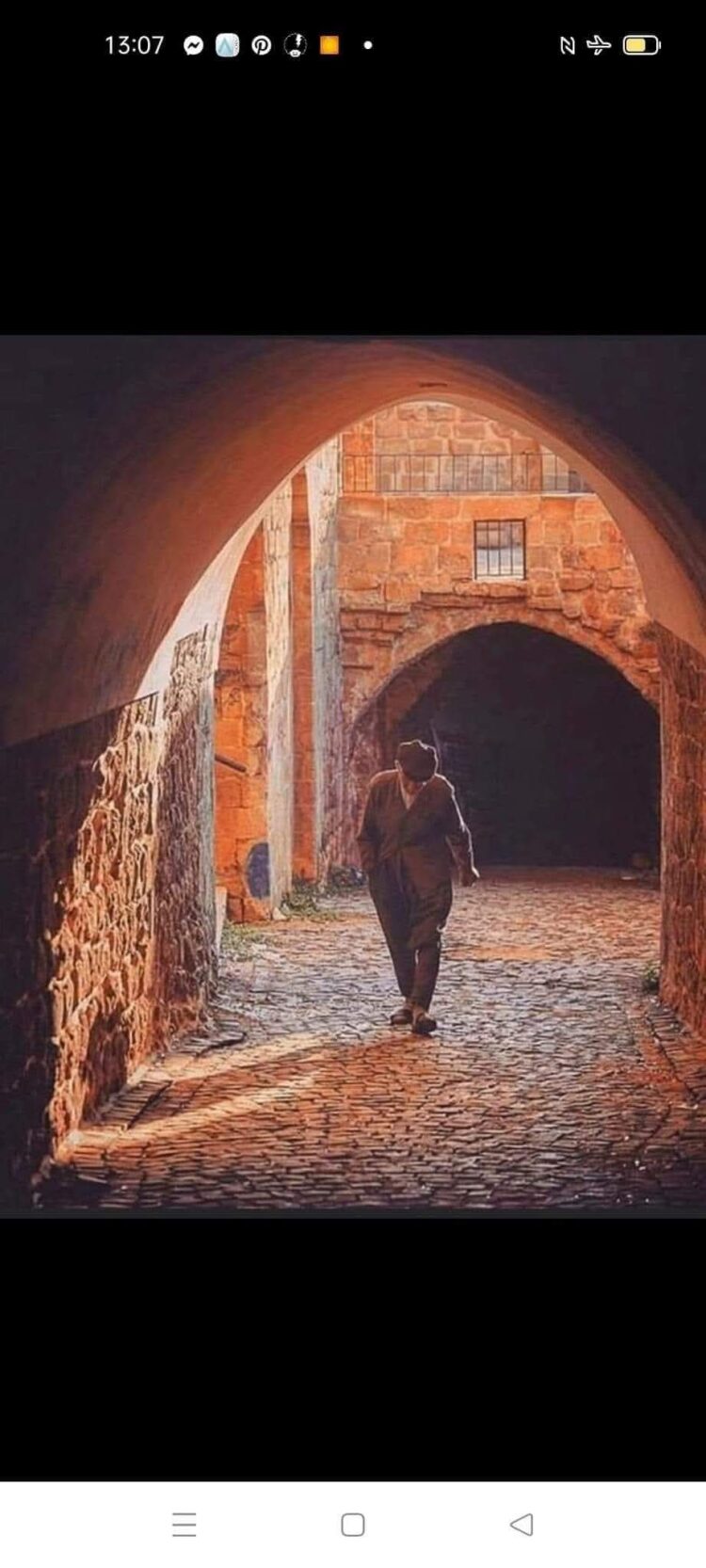 Telaşa Hiç Mahâl Yok