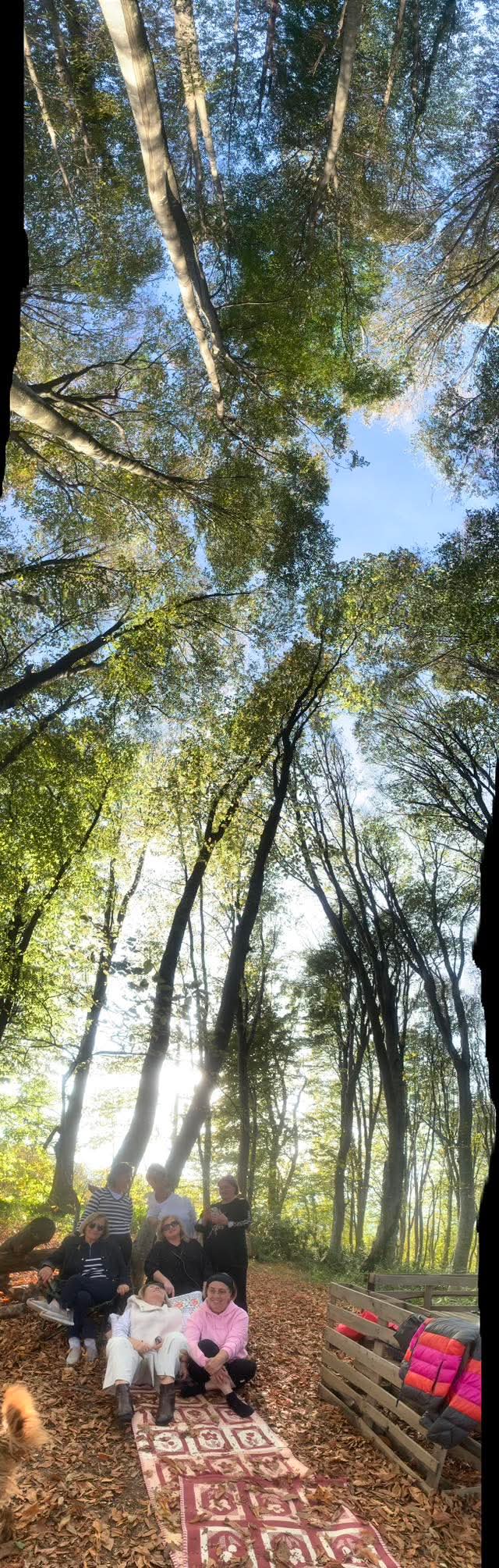 En Günlerden Birisi