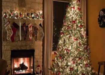 Bir Yılın Ardından