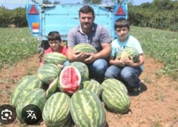 Çiftçinin Çocuğu