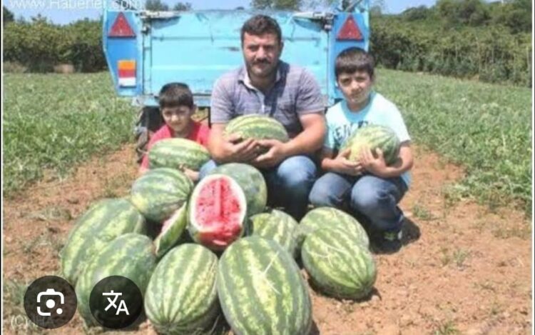 Çiftçinin Çocuğu