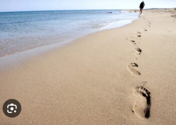 Dalganın Ayak Sesleri