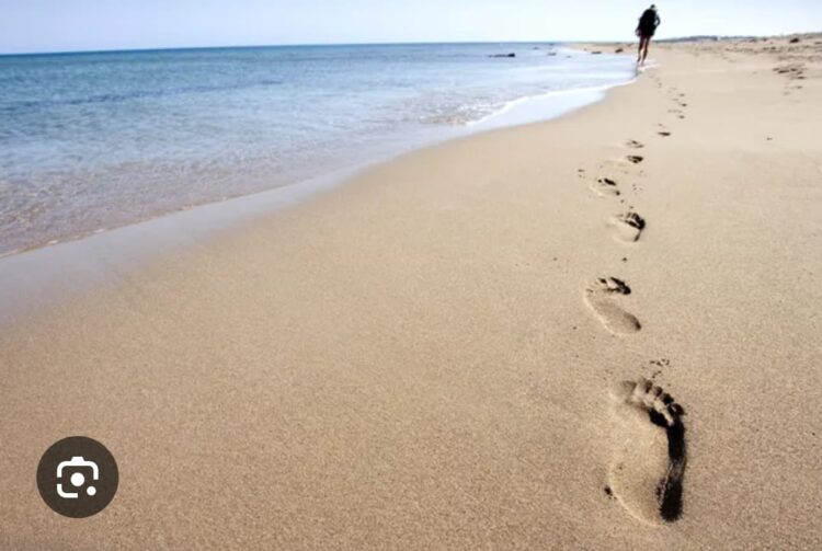 Dalganın Ayak Sesleri